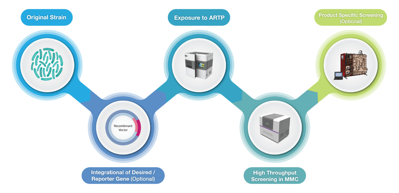 Procecss Development